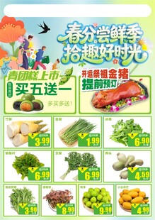 超市新鲜蔬菜促销活动