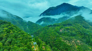青山翠谷