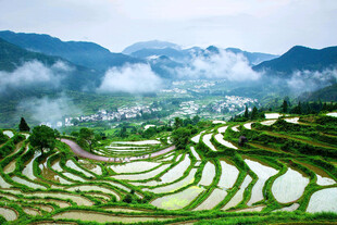 梯田