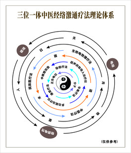 中医经络循行理论示意图