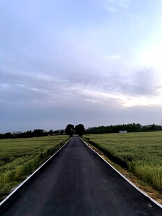 乡间公路延伸向远方