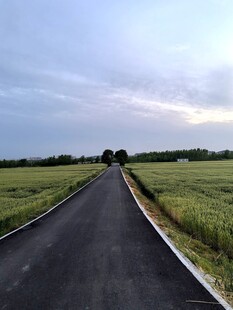 乡间公路延伸向远方