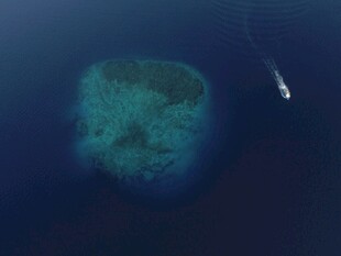 深海中的神秘岛屿