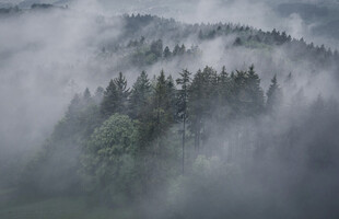 山间云雾缭绕的森林美景