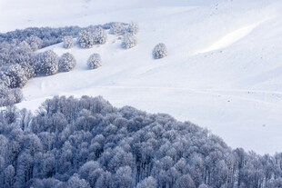冬日雪覆山林美景