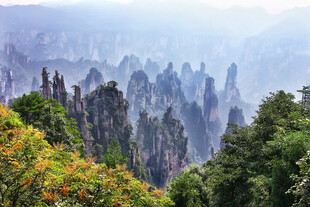 张家界奇峰异石景观