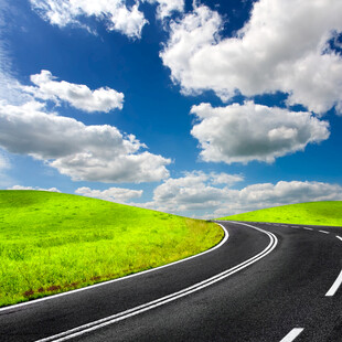 蜿蜒公路旁的翠绿原野