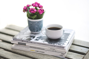 花茶水报营造惬意时光