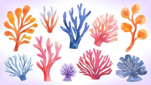 多彩珊瑚矢量插画素材