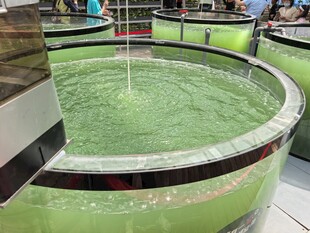 圆形绿水池景观