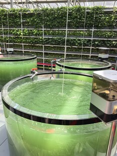 现代化水族馆养殖设施