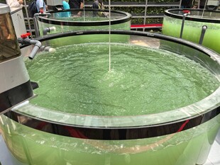 绿色水池与流水装置