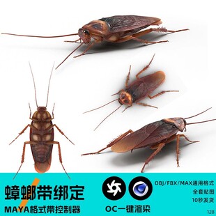 蟑螂 带关节绑定
