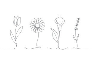 简约线条花卉插画
