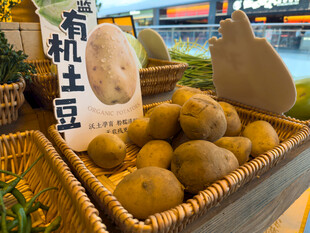 有机土豆新鲜上市