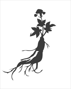 人参剪影图