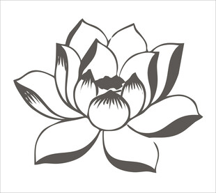 黑白莲花图案