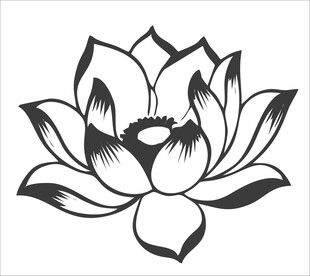 黑白莲花图案