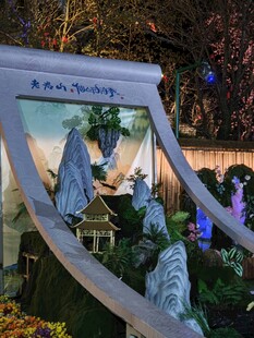 户外露营帐篷旁的自然景致
