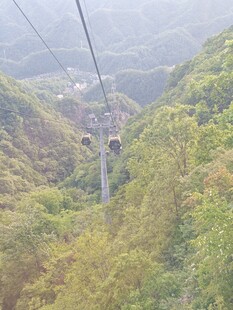 山间缆车穿梭于葱郁山林