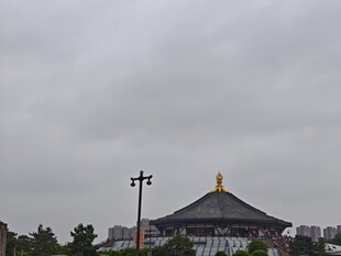 阴天中的传统风格建筑