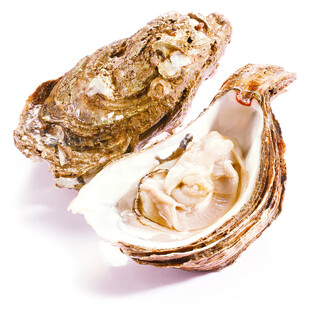 新鲜开壳牡蛎