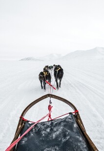 乘雪橇在雪地前行的队伍