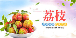 荔枝海报 