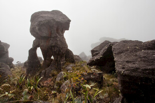 平顶山罗雷马山顶