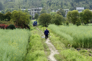 田野 小路 行人