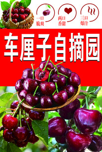 车厘子