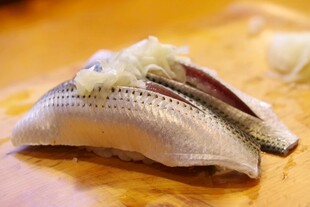 美味鲹鱼寿司