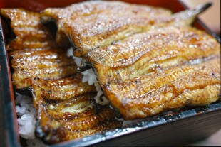 烤鳗鱼美食诱人画面