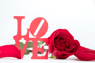 红玫瑰与LOVE字母装饰