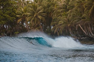 海浪翻涌于椰林环绕海岸