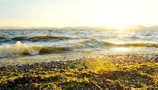 海边日出美景