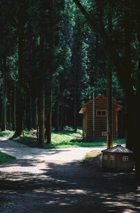 林间小屋