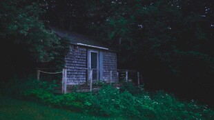 静谧山林中的古朴小屋