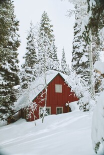 雪林中的红色小屋