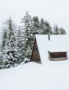雪覆木屋旁的静谧松林