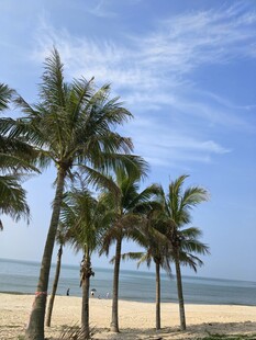 红海湾