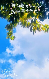 夏日的天空