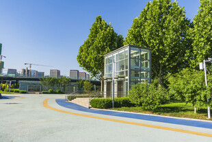 园区优美道路与绿植景观