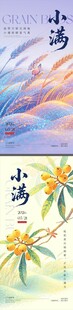 小满 