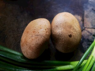 香菇