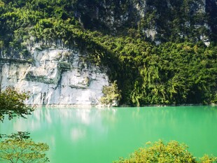 翠绿山水间的迷人景致