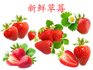 新鲜草莓