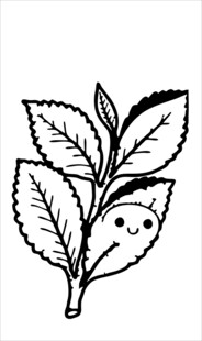 手绘枝叶图案