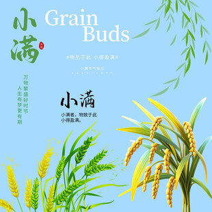 小满素材 