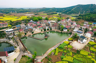 春日乡村美景俯瞰